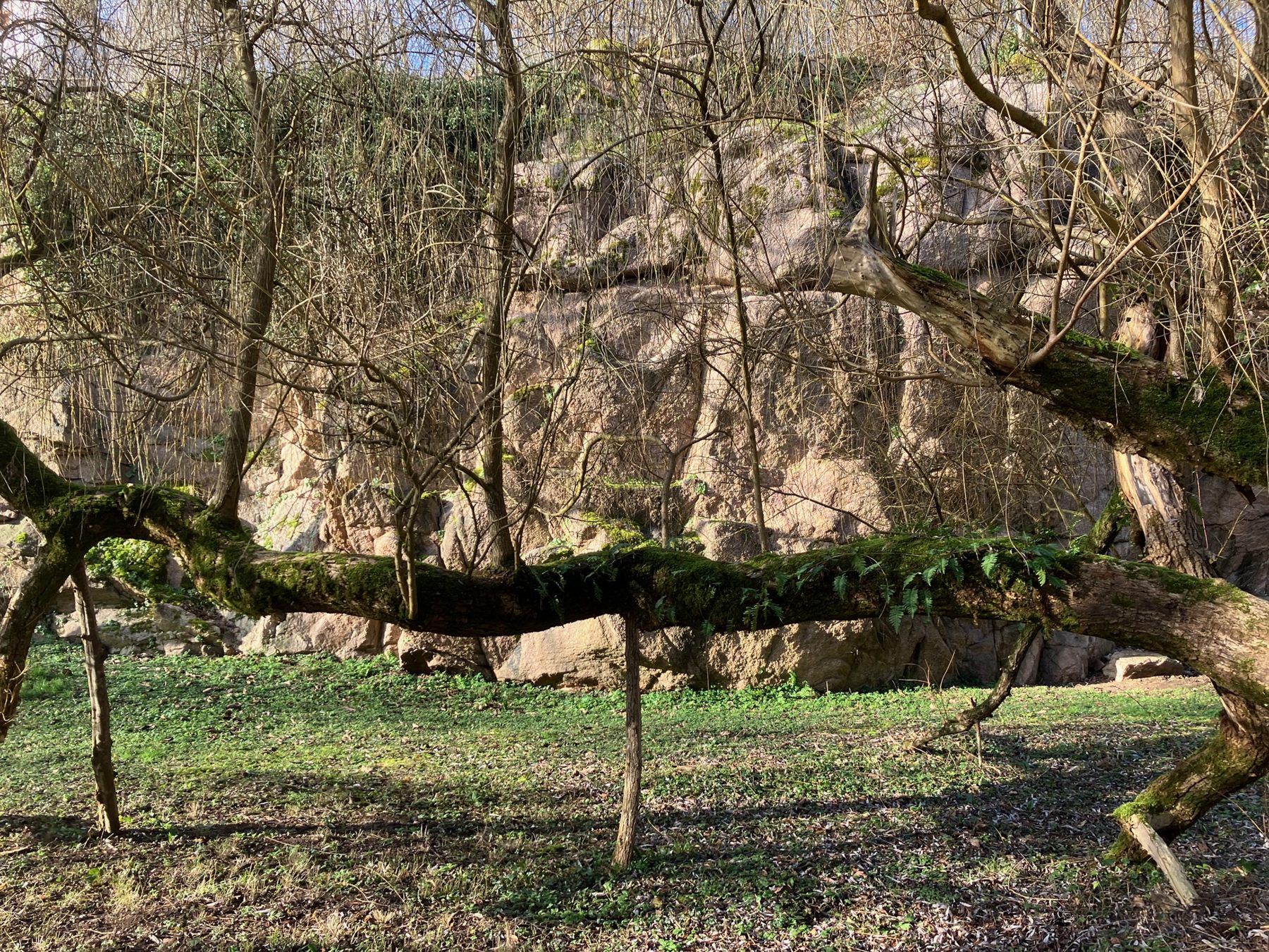 Parc Joly