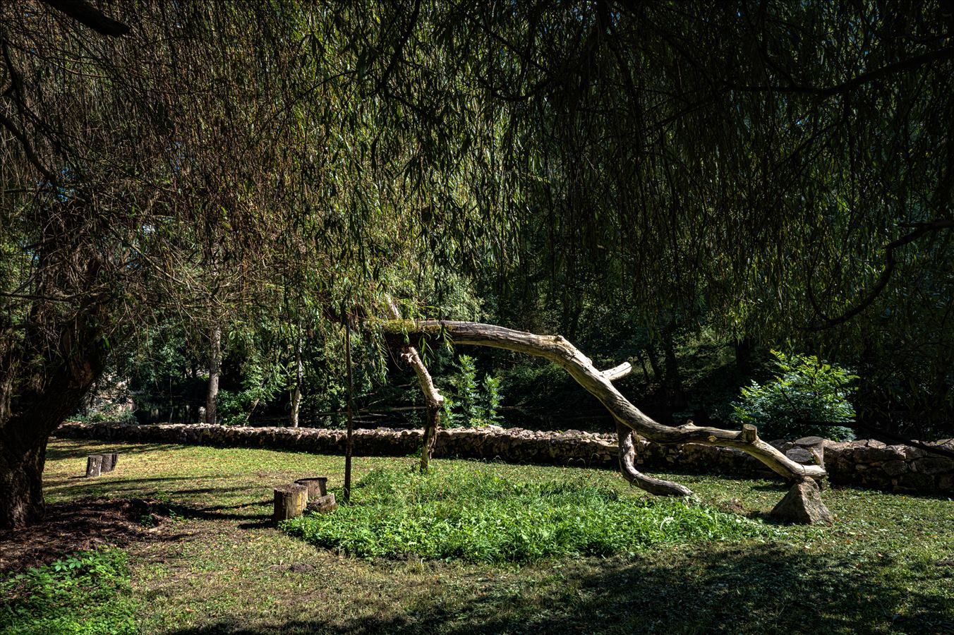 Parc Joly