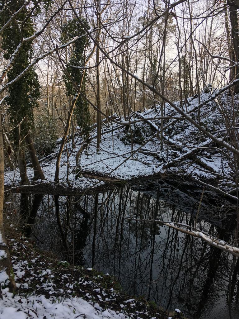 Parc Joly